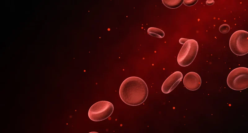 Blood cells